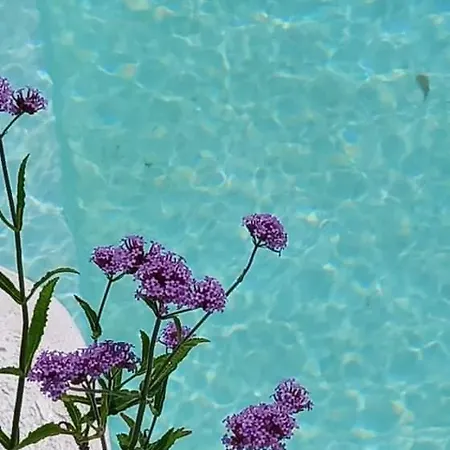 Kotseris Luxury Villas, Jiovanni & Angelina Sivota (Lefkada)